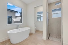 Master Bathroom Tub and Shower