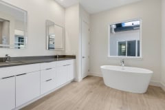 Master Bathroom Vanity and Tub